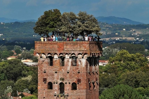 LUCQUES (LUCCA)